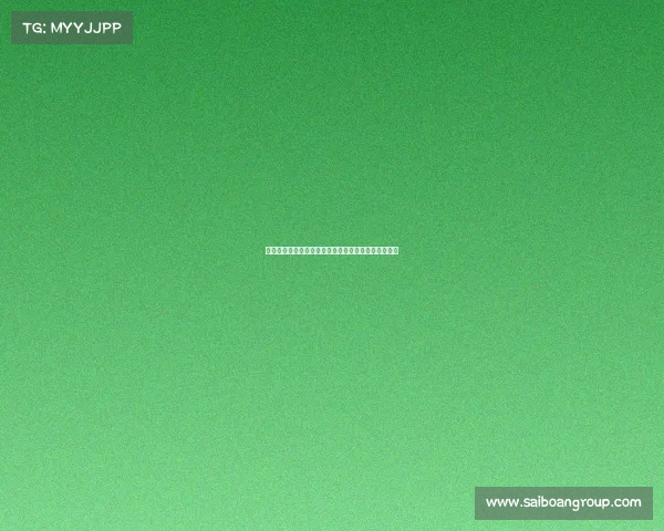 赛事风云幕后：记者们默默坚守的真实故事与英雄本色